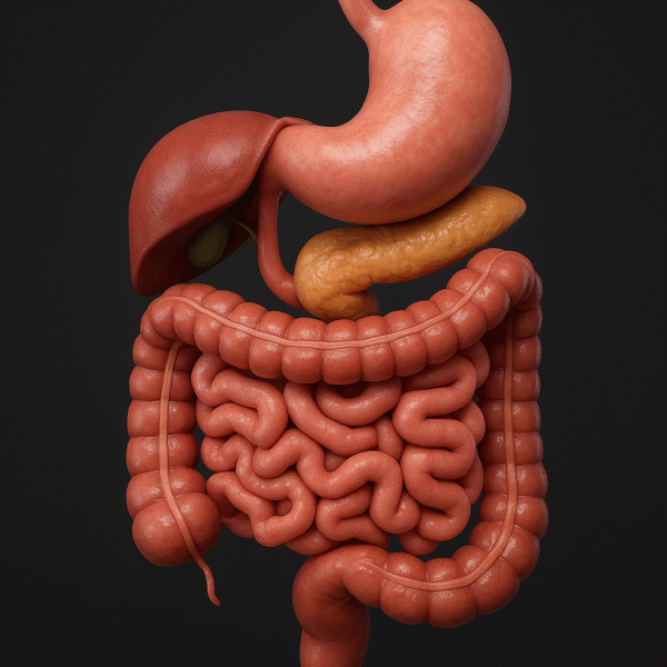 ChatGPT Image Oct 22, 2025, 09_12_37 PM