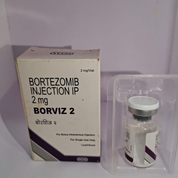 Borviz 2